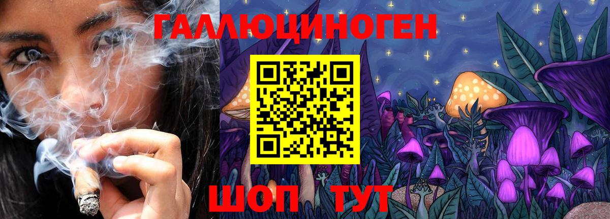 Галлюциногенные грибы Psilocybine cubensis Ковров