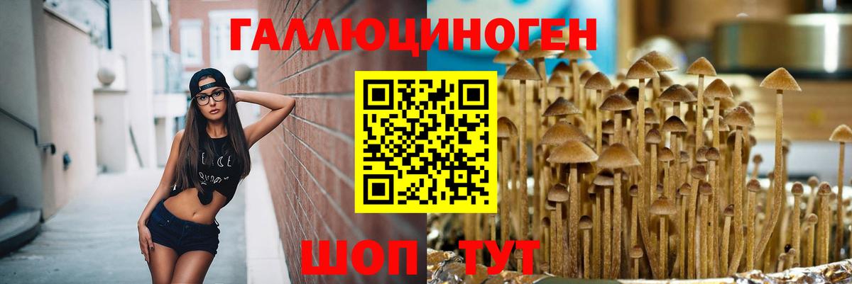 Галлюциногенные грибы Cubensis  Галлюциногенные грибы прущие грибы  Ковров  Вход с VPN 